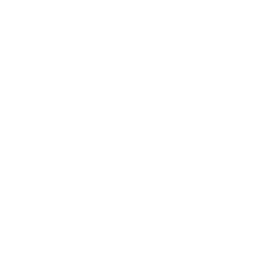 Paysafe Card