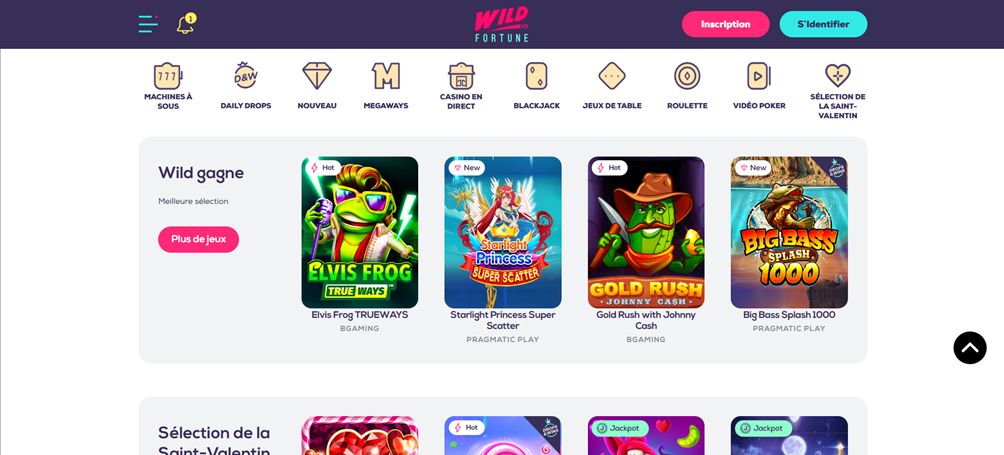 Wild Fortune casino preview